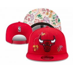 Chicago Bulls Snapback Cap 010