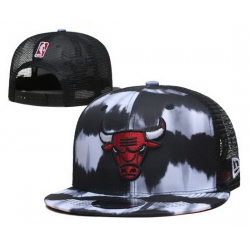 Chicago Bulls Snapback Cap 012