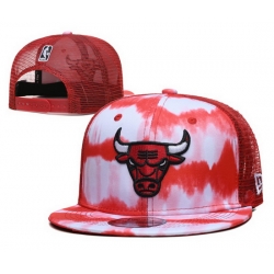 Chicago Bulls Snapback Cap 013