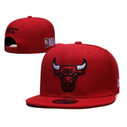Chicago Bulls Snapback Cap 019