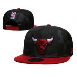 Chicago Bulls Snapback Cap 025
