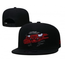 Chicago Bulls Snapback Cap 041
