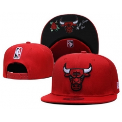 Chicago Bulls Snapback Cap 044