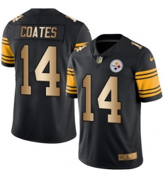 Nike Steelers #14 Sammie Coates Black Mens Stitched NFL Limited Gold Rush Jersey