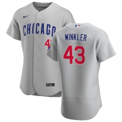 Men Chicago Cubs 43 Dan Winkler Men Nike Gray Road 2020 Flex Base Team Jersey