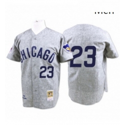Mens Mitchell and Ness Chicago Cubs 23 Ryne Sandberg Authentic Grey 1969 Throwback MLB Jersey