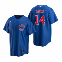 Mens Nike Chicago Cubs 14 Ernie Banks Royal Alternate Stitched Baseball Jerse