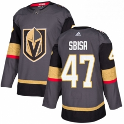 Youth Adidas Vegas Golden Knights 47 Luca Sbisa Authentic Gray Home NHL Jersey 