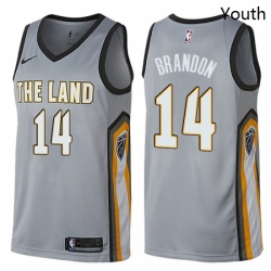 Youth Nike Cleveland Cavaliers 14 Terrell Brandon Swingman Gray NBA Jersey City Edition 