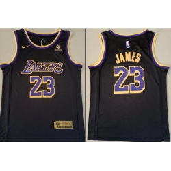 Men Los Angeles Lakers Lebron James #23 Black Purple Stitched NBA Jersey