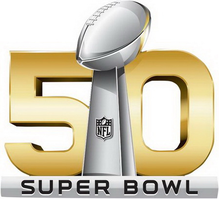 NFL Panthers 50 Super Bowl Patch Biaog